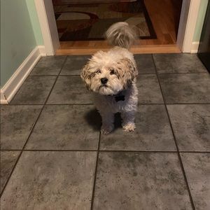 Meet your Posher, Amir